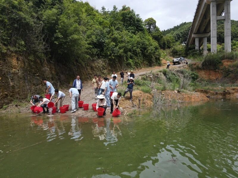 微信图片_2026-06-25_095701_106-84e130af-8ff0-471d-b8ff-d9891c407aff.jpg